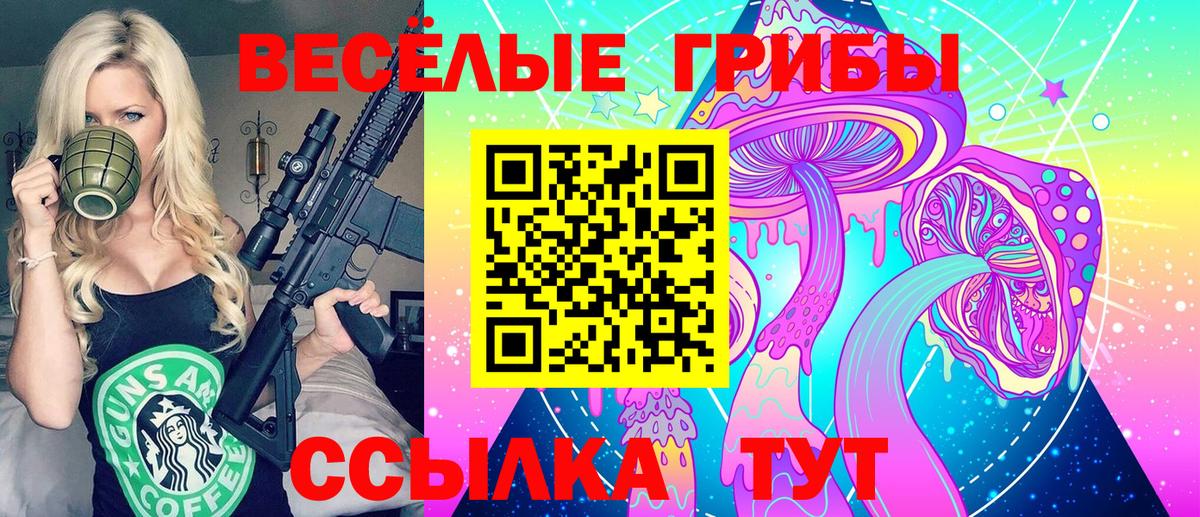 Псилоцибиновые грибы GOLDEN TEACHER Кингисепп
